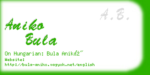 aniko bula business card